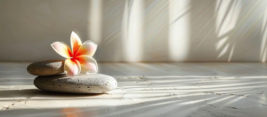 Leinwandbilder - A tropical flower placed on two stones for a massage treatment set against a white background with sunlight creating a peaceful ambiance for the copy space image