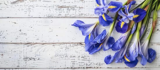 Aufkleber - Beautiful blue iris flowers on a vintage white wooden board with copy space image