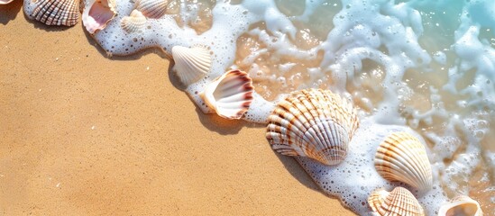 Poster - Sandy beach adorned with seashells creating a picturesque summer scene with a copy space image
