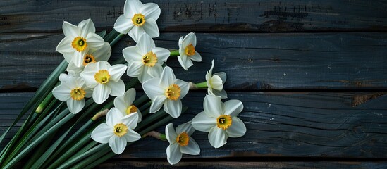Aufkleber - White daffodils are beautifully arranged on a dark wooden backdrop creating a perfect copy space image for text placement