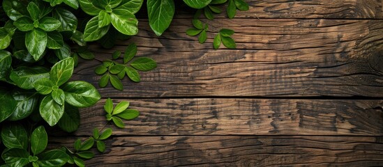 Aufkleber - Empty space on a wooden background with green leaves perfect for inserting copy space image