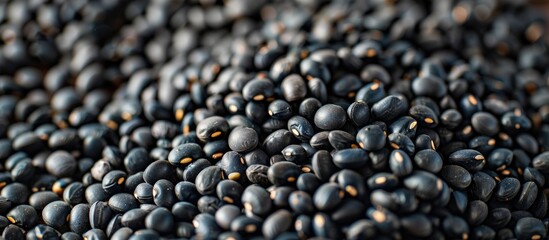 Poster - Close up of urad dal also known as black gram or vigna mungo against a background with available space for text. with copy space image. Place for adding text or design
