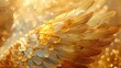 © FINZZ - A golden winged creature with a gold and blue background. The wing is the main focus of the image