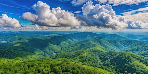 Wall Mural - Aerial view of Blue Ridge Mountains surrounded by fluffy white clouds on a sunny summer day, Blue Ridge Mountains