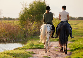 Canvas Print - Woman, horse and riding in nature or back, countryside and ranch on weekend break for summer adventure. Outside, holiday and equestrian sport for training, hobby and bonding for friends on stallion