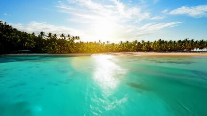 Wall Mural - Tropical beach paradise at sunset with lush palm trees