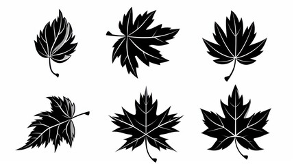 Sticker - Stylish and simple maple leaf icons set in black, perfect for various design projects on a clean white background.