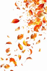 Wall Mural - Autumn leaves blown by wind