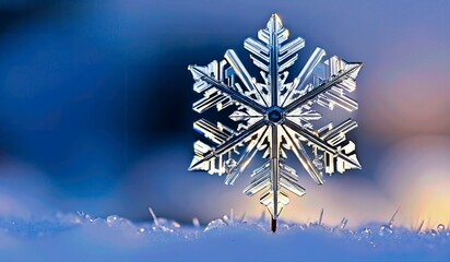 Poster - Beautiful snowflakes close-up