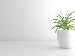 Wall Mural - Elegant Indoor Plant in White Pot Against Minimalist Background