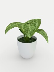 Wall Mural - Green Houseplant in White Pot on Neutral Background