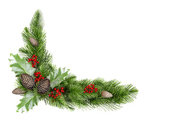 christmas tree branches with cones on transparent