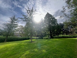 Wall Mural - Picturesque view of park with trees in summer