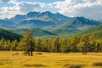 Poster - A serene landscape featuring a lush green field, tall trees, and majestic mountains in the distance