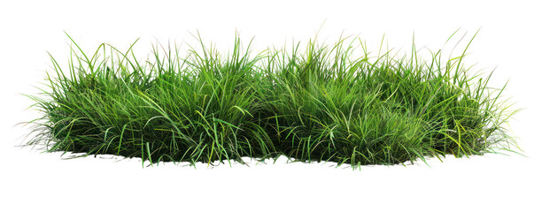 lush green grass patch ideal for landscaping, gardening, and outdoor settings adds vibrant nature to