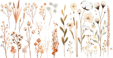 This set contains beautiful bouquets of herbs, dry plants, and her barium.