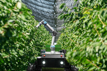 Poster - Autonomous robot harvester with robotic arm harvesting fruits on a smart farm. Concept.