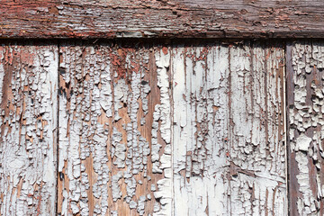 Wall Mural - Old painted wood wall - texture or background