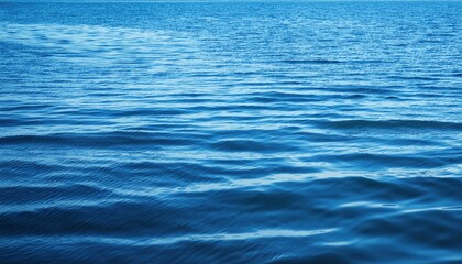 Poster - beautiful bright blue water surface with soft waves on florida lake natural background