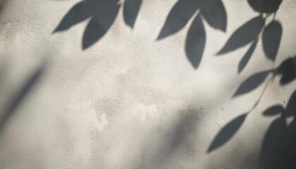 Wall Mural - leaf shadows on a cement background illustration