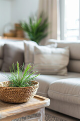 Wall Mural - Close up of a wooden coffee table features a wicker basket with a vibrant green plant, surrounded by a soft, inviting living space