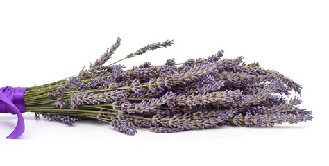 Wall Mural - Bouquet of lavender flowers.