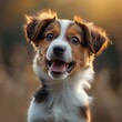 © Atlas - Portrait of a happy dog with blurred natural background
