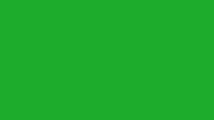 Wall Mural - subscribe button animation, subscribing animation, animated subscribe button on green screen | 4k