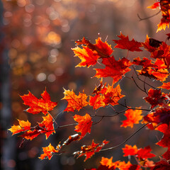 Canvas Print - Autumn themed background