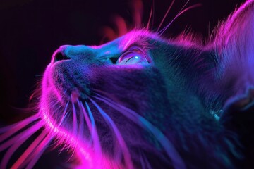 Vibrant and colorful neon glow cat portrait with closeup illuminated eyes in blue and pink. Capturing the mysterious and intense beauty of a domestic feline in a futuristic cyberpunk nightlife scene