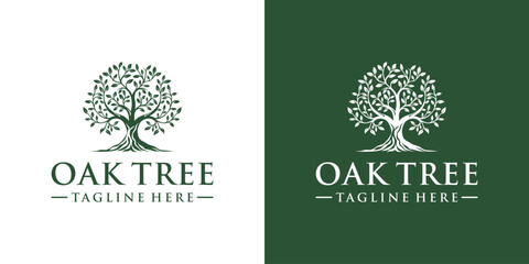 Wall Mural - Oak Tree Abstract Logo Design and Root Vector. Tree of Life Logo Design Inspiration.