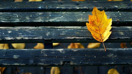 Single yellow autumn leaf on wooden bench