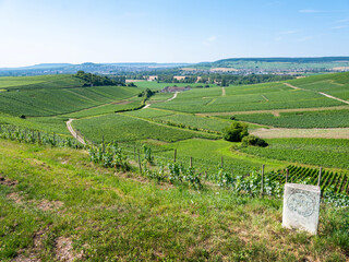 Poster - vineyards of moet et chandon near epernay in champagne-ardenne