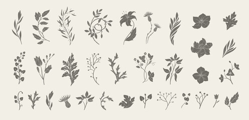 Wall Mural - set of retro silhouette flowers and botanical elements. art nouveau hand drawn leaves branches and b