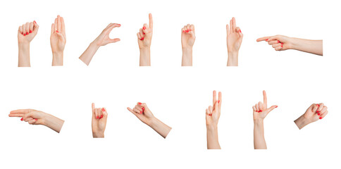 Wall Mural - Hand gestures, signs, finger pointer, fist, set isolated on white background.., transparent PNG