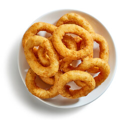 Canvas Print - fried onion rings