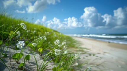 Sticker - Beach Landscape with Wildflowers