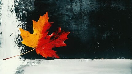 Poster -   Red and yellow maple leaf on black and white background