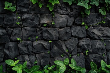 Canvas Print - a black stone wall with green plants