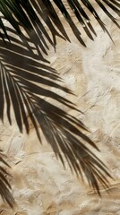 Canvas Print - Palm tree shadows on sandy beach texture background palm branch beige ocean dune wallpaper