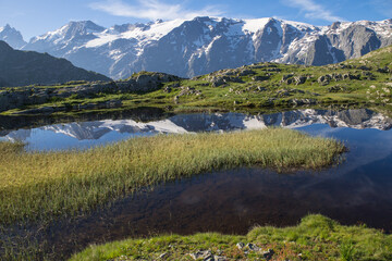 Wall Mural - reflet des glaciers de la Meije sur un lac du plateau d'Emparis au refuge des Mouterres dans les Alpes en été	