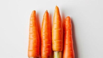 Four freshly harvested carrots arranged on a white background