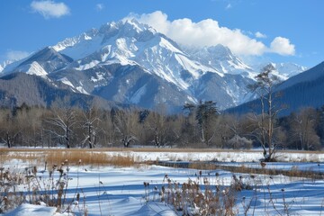 Wall Mural - A snowy mountain range with a clear blue sky. The mountains are covered in snow and the trees are bare