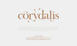 © fourmonths - Corydalis swash luxury elegant alphabet letters and numbers. Vintage wedding typography classic serif font decorative vintage retro. creative vector illustration