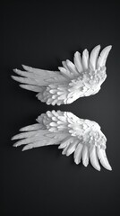 Canvas Print - White Angel Wings on Black Background