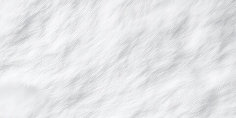 Wall Mural - Abstract White Fur Texture Background