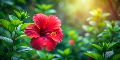 Lush red hibiscus flower blooms amidst lush green foliage in serene garden setting. Creative AI, foliage