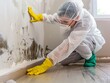 © INT888 - A worker in protective gear removes mold from a wall, ensuring a safe and clean environment during renovation.