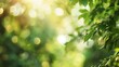 © The Little Hut - Green blurred nature background out of focus : Generative AI