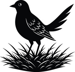  bird on the straw silhouette illustration, nature,  straw, background, feather, plant, 